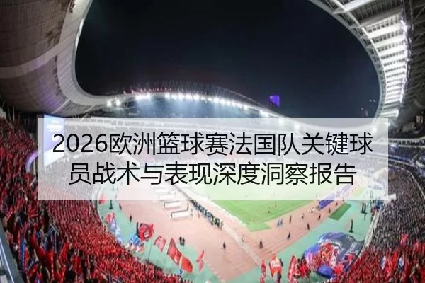 2026欧洲篮球赛法国队关键球员战术与表现深度洞察报告