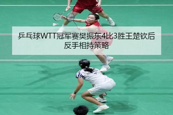 ping-pang-qiu-guan-jun-sai-fan-zhen-dong-bi-sheng-wang-chu-qin-hou-fan-shou-xiang-chi-ce-lve-2-912.jpg